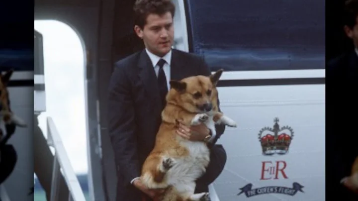 Here's What We Really Know About Queen Elizabeth's Pets