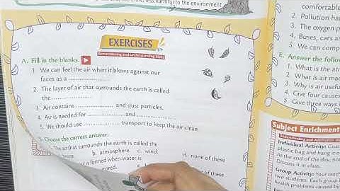 Class 3 EVS: Lesson 17 We Need Clean Air(exercise)