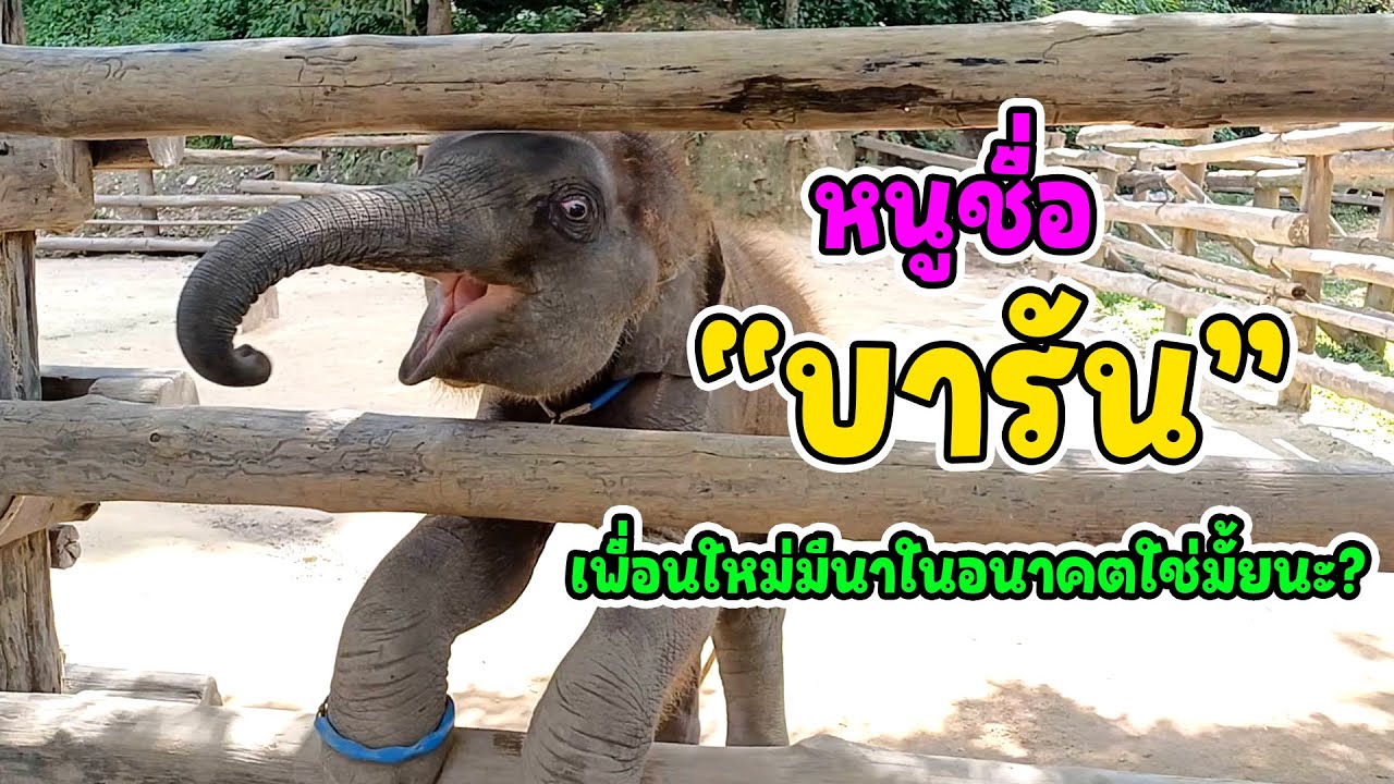 ครั้งแรกที่ได้เจอกัน 