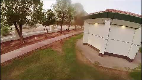 Reptile Cloud 149 Cruising Sunset Park Flight