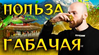 Габа чай | Эффект, польза, сорта | История и технология