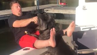 Dog Accidentally Pushes Owner off Boat Dog Accidentally Pushes Owner off Boat