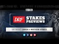 2018 Preakness Stakes Betting Stats and Trends