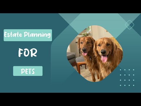 Video: Estate planning voor uw hond