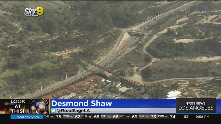 Look At This: Laurel Canyon Freeway