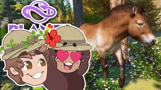 An Orphanage for Przewalski's Horses and Axolotls?! 🐎 Planet Zoo: Conservation Adventures! • #1