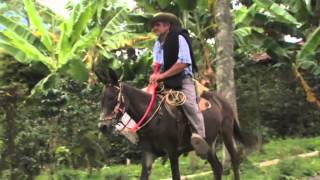 Café De La Manana- The Best Of Colombia, The Best Of Coffee