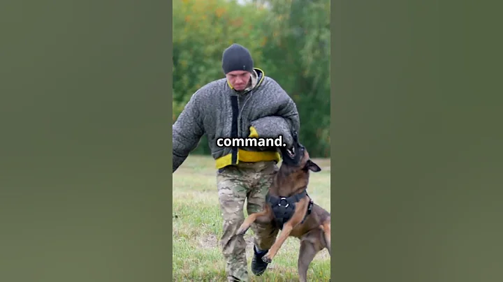 Teaching the 'Guard' Command Enhancing Control