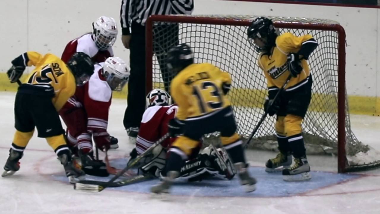 20161021 North Stars vs Grand Rapids Blades L 5 4 YouTube
