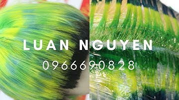 Day cắt tóc ngắn.LUANNGUYEN TEL 0966690828