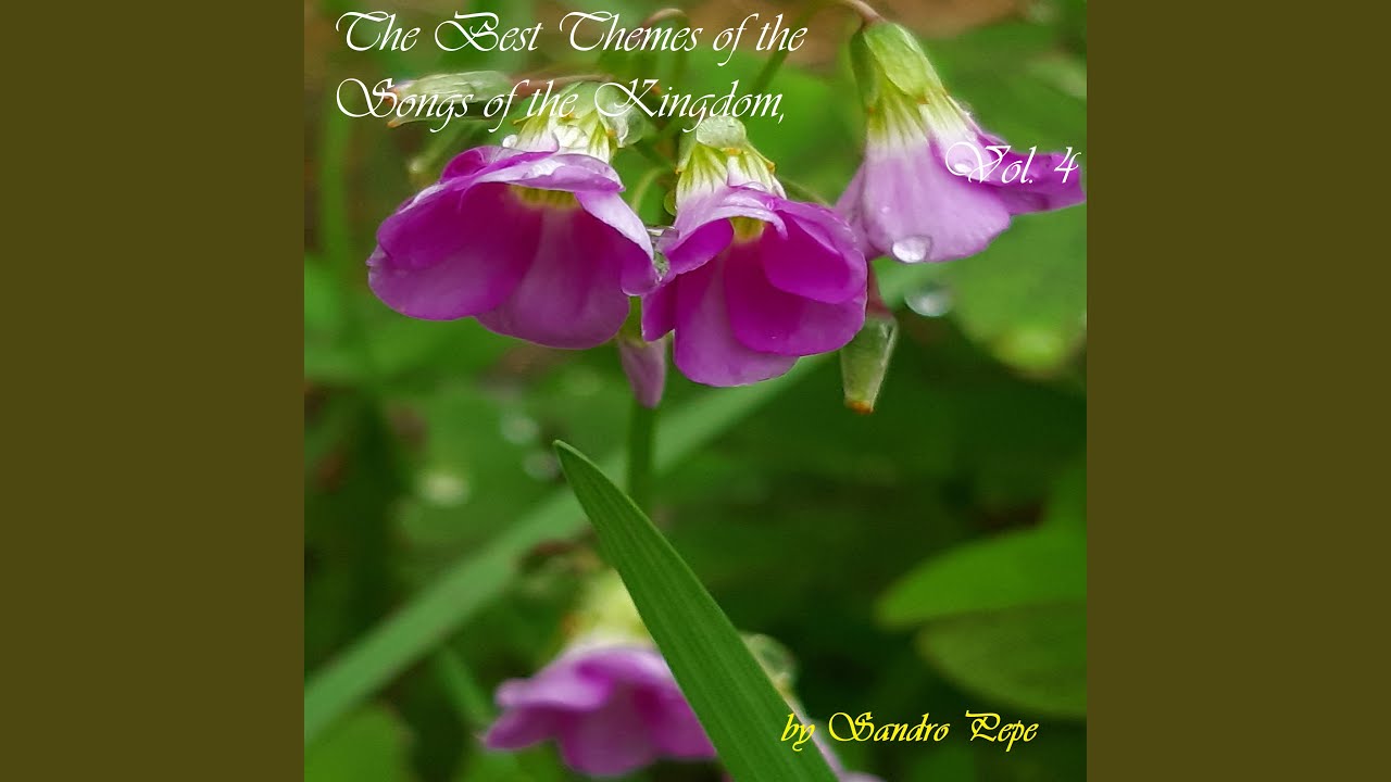 A Special Possession