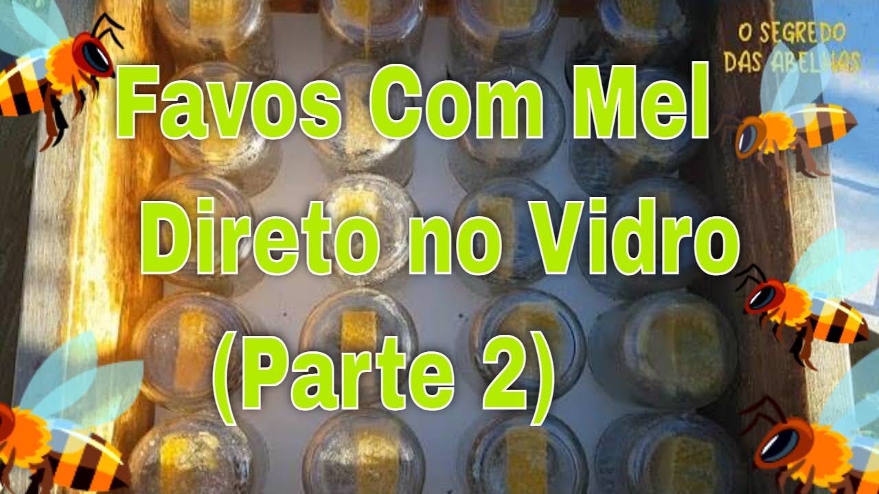 Favos com Mel Direto no Vidro (Parte 2) @euclidessantanasantana