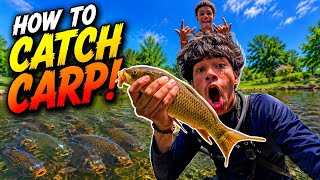 How to catch Common Carp In your Bodies of Water