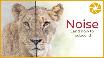 Tips voor het verminderen van ruis bij natuurfotografie