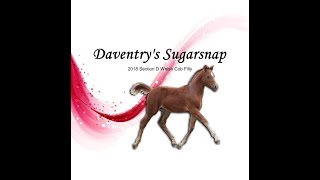 Daventry's Sugarsnap