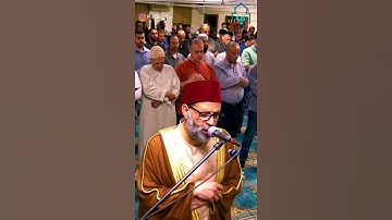 الشيخ حسن صالح.. تلاوة خيالية و راحة نفسية عجيبة