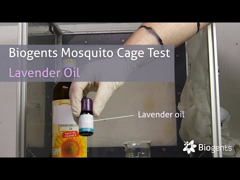 वीडियो: क्या लैवेंडर मच्छरों को दूर भगाता है?
