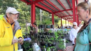 How to Get Started Growing and Selling Medicinal Herbs