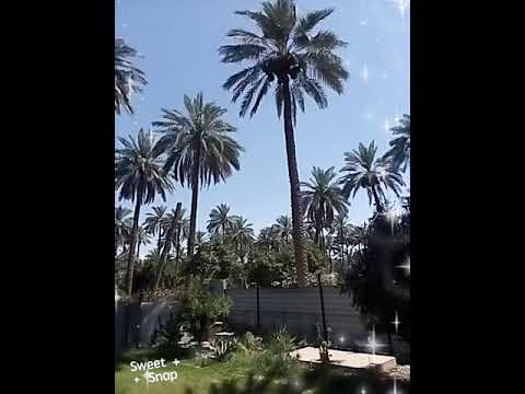 ٢٢ حزيران ٢٠٢٠
