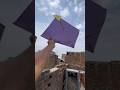 kite looting Patang #kite #kiteflying #patang #funny #viral