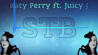 Katy Perry - Dark Horse (STB Remix)