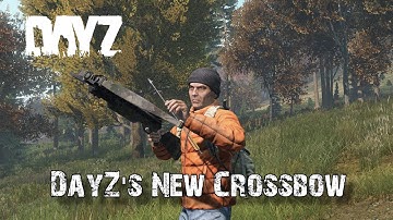Everything You Need To Know About DayZ