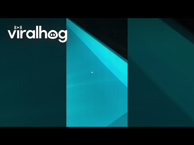 Party-Goers Watch Meteor Light Up Sky || ViralHog class=