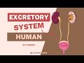 HOW EXCRETORY SYSTEM WORKS? | FOR SSC EXAMS | RAILWAYS AND OTHER COMPETITIVE EXAMS | BY YOGESH