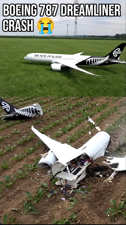 RC Scale Boeing 787 Dreamliner Stalls And Crashed 💔 #aviation #rcplanecrash #boeing787dreamliner