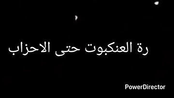 سورة العنكبوت حتى الاحزاب
