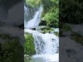 Rock Garden Waterfall #shorts #darjeeling