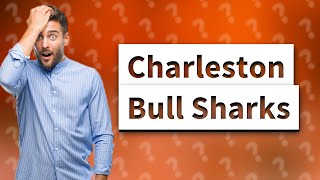 Are there bull sharks in Charleston?