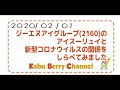 【GNI】ジーエヌアイグループ(2160)のアイスーリュイと新型コロナウイルスの関係を調べてみました【バイオ株】