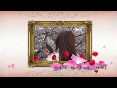 【姫桜】千本桜踊ってみた【紫音リア様振り付け】