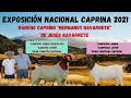 Rancho Caprino "Hnos Navarrete" de Jesús Navarrete- Exposición Nacional caprina. 1ra Parte