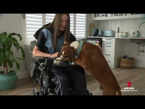 Minimal Residual Disease (MRD) Testing with Dr. Rafael Fonseca