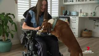 7 News | FDA Grants 510(k) Clearance for Remplir Nerve Product