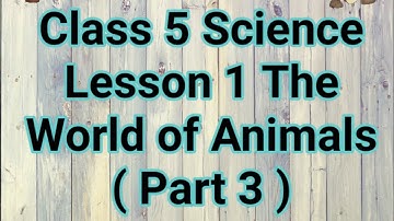 Class 5 Science Lesson 1 The World of animals ( Part 3 )