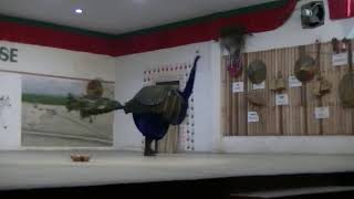 THE DANCE OF THE PEACOCK, THARU CULTURE HOUSE, SAURAHA, NEPAL