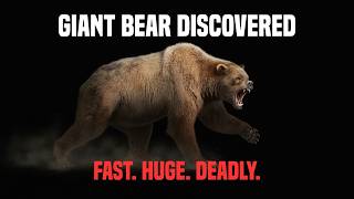 Arctodus simus: The Ice Age Predator We Got Wrong
