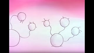 THE MEANING OF LIFE by DON HERTZFELDT