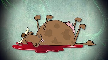 Blood Clotting - Why You Should Believe In Creation ... And Not Evolution | David Rives