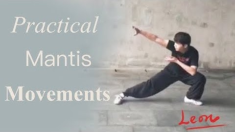 Practical movements of Eight-step Praying Mantis | Leon Chu