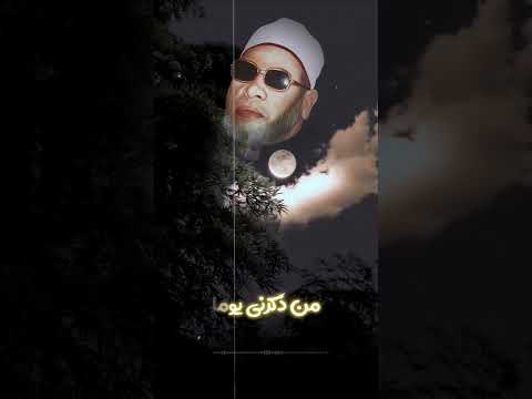 الشيخ كشك فضل الذكر Shorts