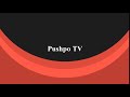 Pushpo tv trailer