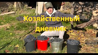 видео: Хозяйственный дневник: кухня и огород картинка: Хозяйственный дневник: кухня и огород