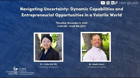 Navigating Uncertainty: Dynamic Capabilities and Entrepreneurial Opportunities in a Volatile World