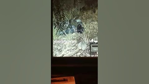 Gb 1v1 dome dispute - dejavuhh