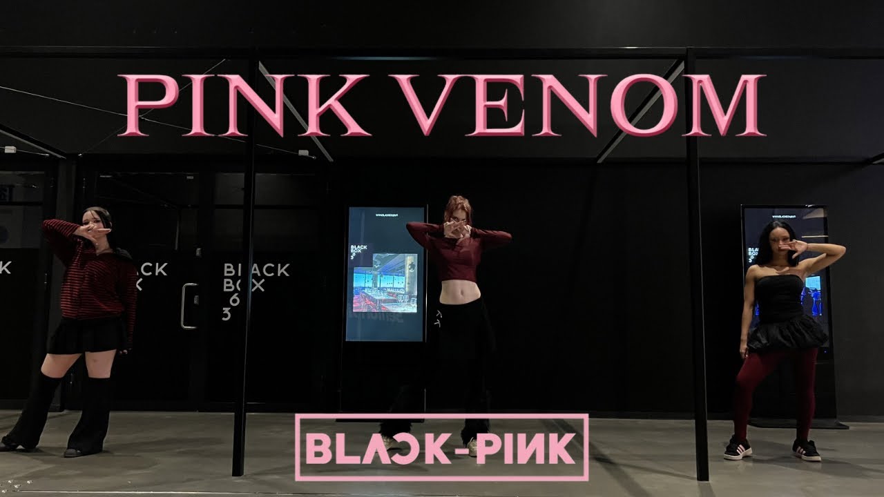 BLACKPINK - PINK VENOM DANCE COVER 3-MEMBER VER | BY WILDROSE