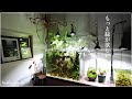 【アクアリウム】60cm水槽の緑化で忙しい。追いアヌビアスしていく/aquarium/vlog/#34